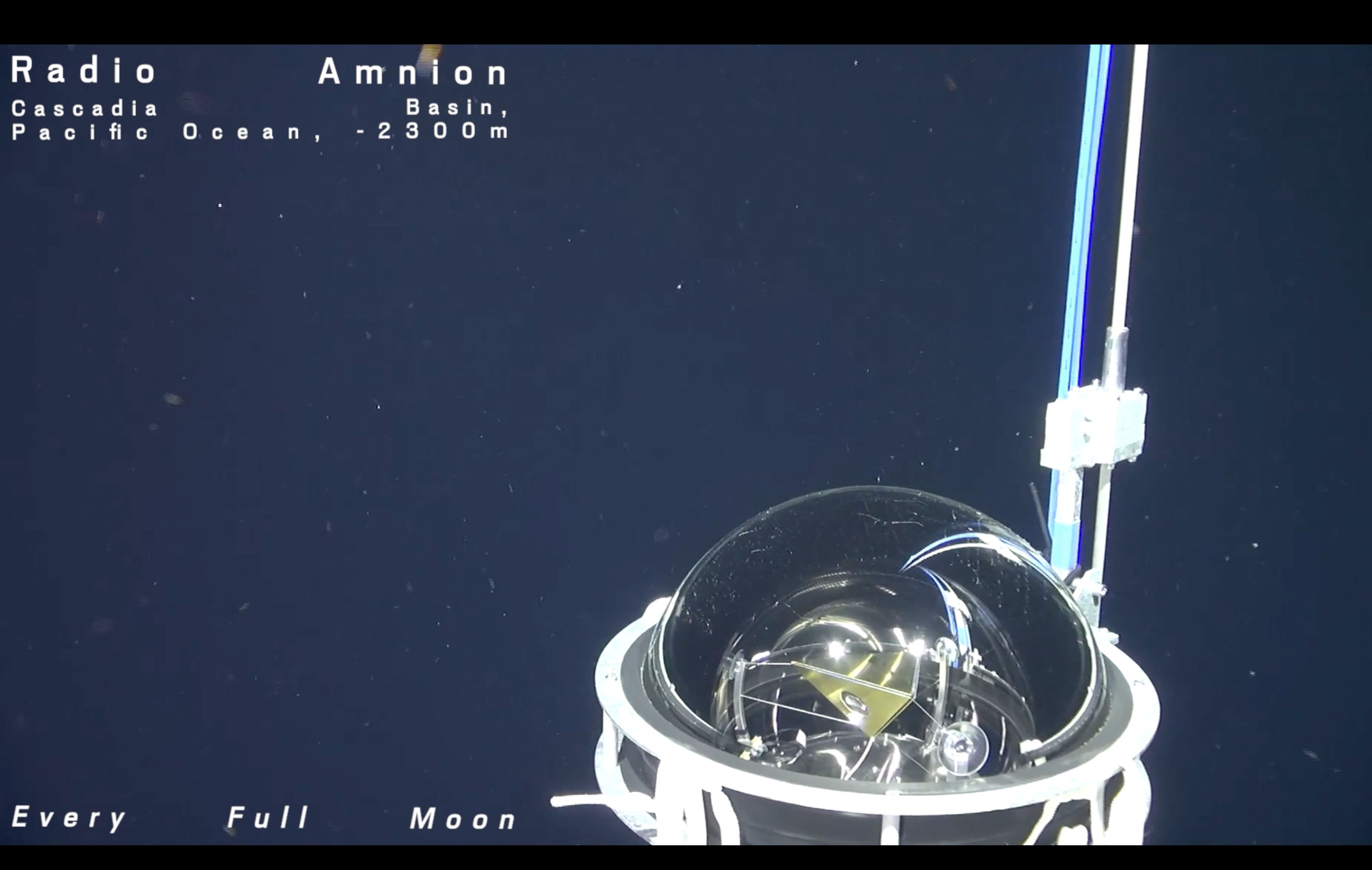 Radio Amnion: Ozeanisches Hören als transzendentale Techno(Öko)logie 
