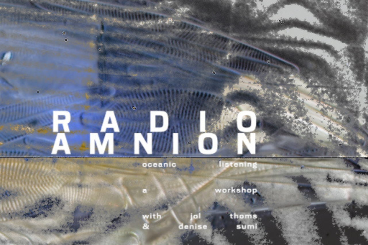 Radio Amnion: Ozeanisches Hören als transzendentale Techno(Öko)logie 