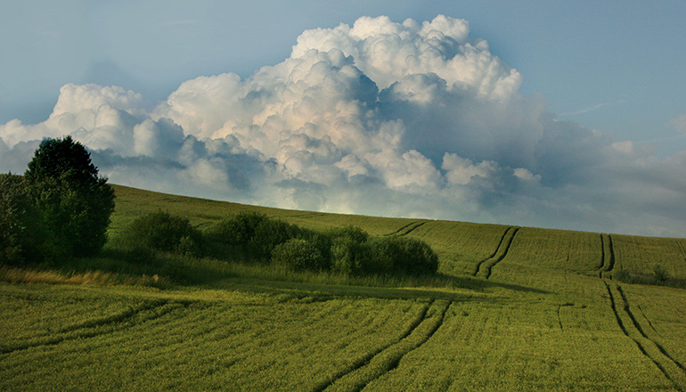 Agrokalypse?