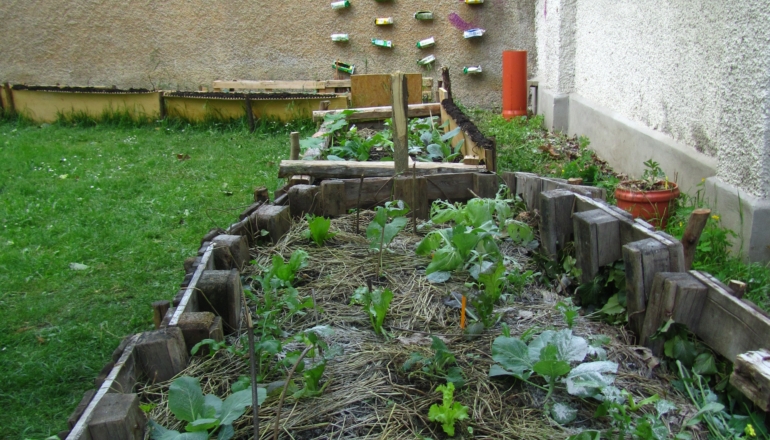 Gemeinschaftsprojekt Attemsgarten