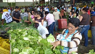 Unterstützen - CECOSESOLA Unterstützen - CECOSESOLA